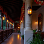 Verandas and Vows: A Serialized Indian American Love Story Across South Asian Social Gatherings