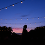 Garden Party Echoes: An Indian American Love Story Told in Moments — A Desi Romance Blog Series at South Asian Social Gatherings