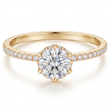 Zug Ring - front view