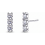 Zuoz Earrings - front and angled view